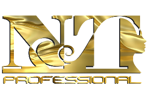 NT Professional